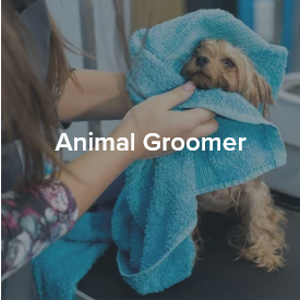 Animal Groomer