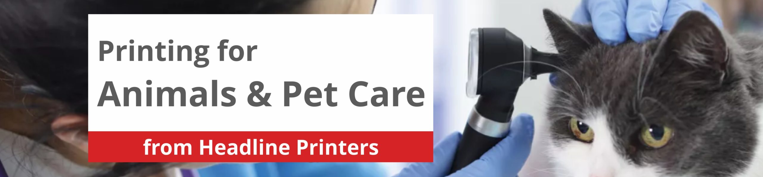 Printing for Animals and Pet Care