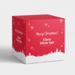 Christmas Mug Gift Boxes