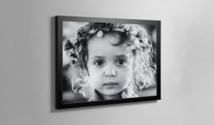Framed Print