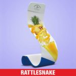 Rattlesnake - Stretch Snake Stands